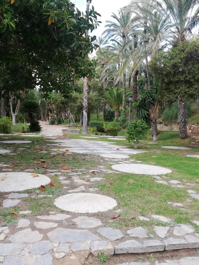 Penthouse Op Toplocatie Orihuela Dış mekan fotoğraf