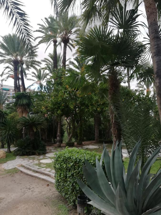 Penthouse Op Toplocatie Orihuela Dış mekan fotoğraf